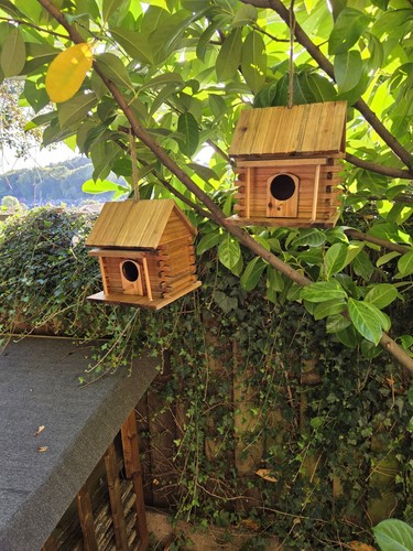 Log cabin style birdbox - log,